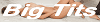 Link badge