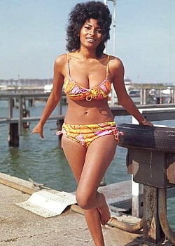 Pam Grier image 1 of 2
