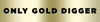 Link badge