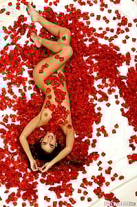 Uma Jolie gallery image 7 of 15