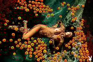 Anita Pathammavong gallery image 15 of 15