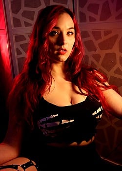 ASMR Kitten image 1 of 4