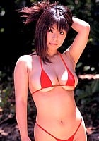 Ai Nakayama profile photo
