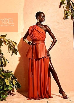 Ajak Deng image 2 of 4
