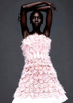 Alek Wek image 4 of 4