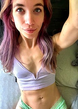 AlliCatCollared image 1 of 1