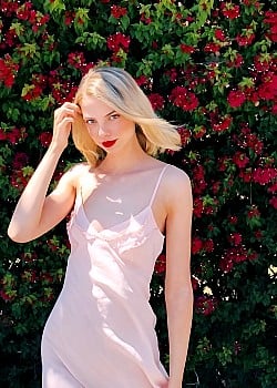 Allie Marie Evans