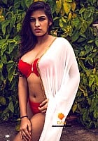 Anjali Gaud profile photo