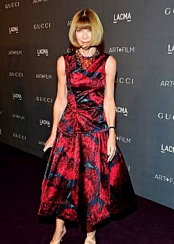 Anna Wintour image 1 of 1