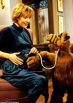 Anne Schedeen image 3 of 3