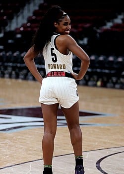 Anriel Howard image 4 of 4