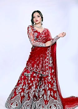 Ashwini Shahi image 4 of 4