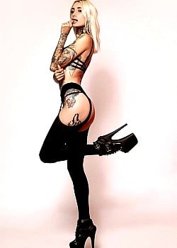 Aurelia Velvet image 4 of 4