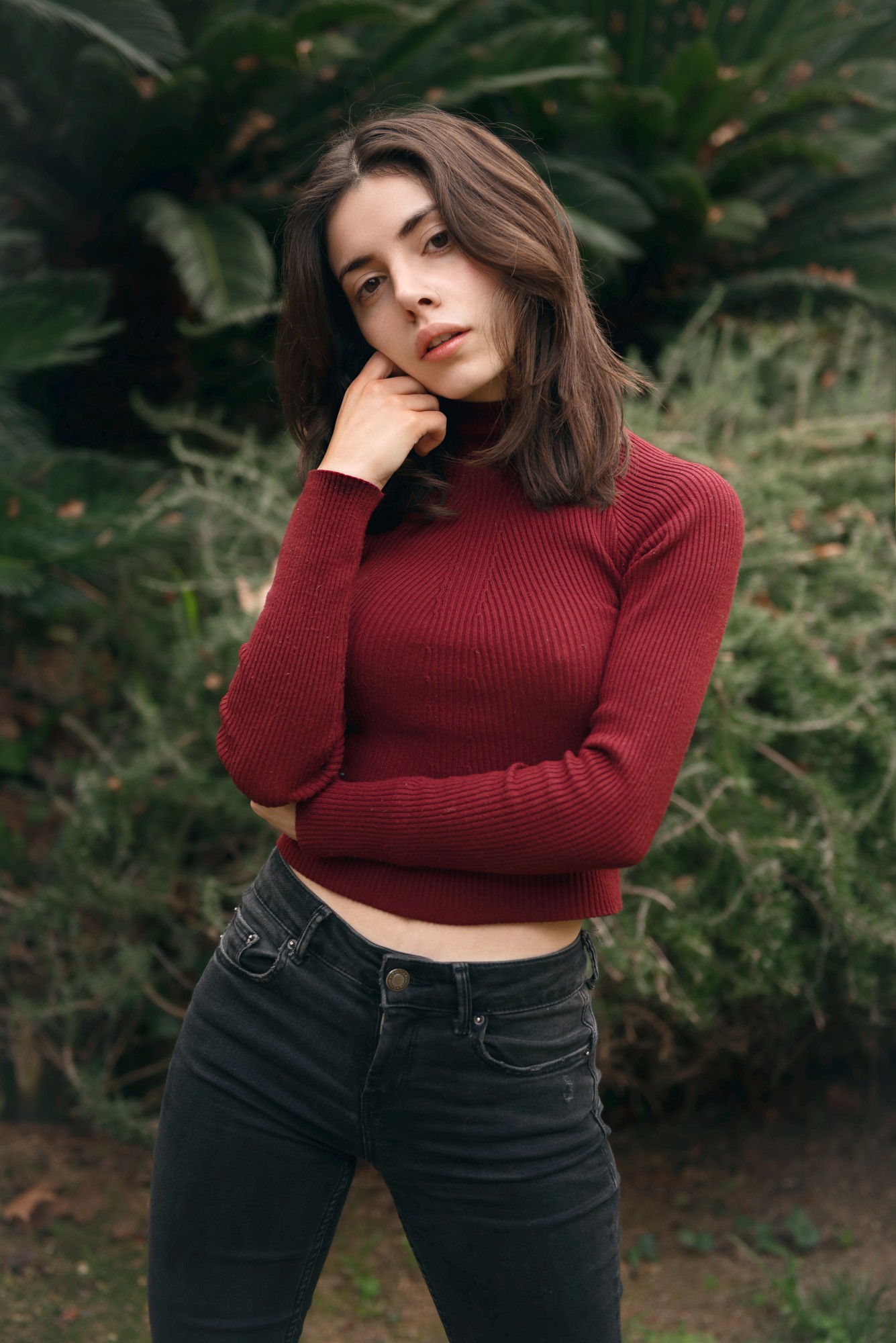Aya wolf