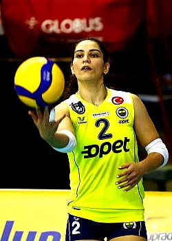Aylin Sarioglu image 4 of 4