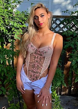BasicBimboo