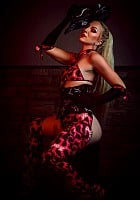 Bitch Sassidy profile photo