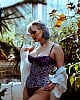 Bluejay image 3 of 4
