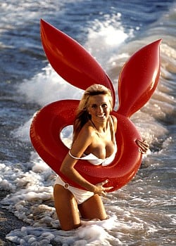 Carol Vitale image 2 of 2
