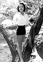 Dana Wynter profile photo
