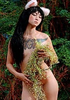 Diana Shvedskaya profile photo