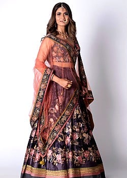 Divya Dwivedi image 1 of 1