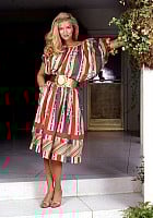 Donna Dixon profile photo