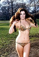 Edy Williams profile photo