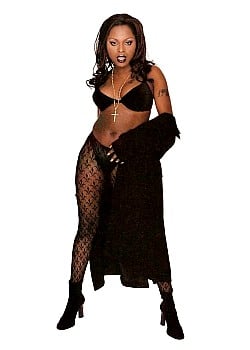 Foxy Brown image 1 of 1