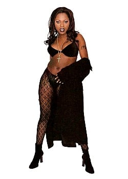 Foxy Brown image 1 of 2
