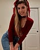Frivolous Fox image 2 of 4