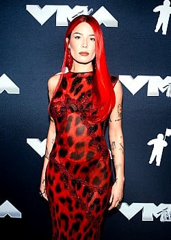 Halsey image 3 of 3