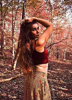 HolotheWiseWulf image 1 of 1