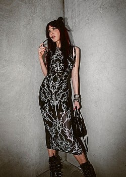 Indie Fox image 3 of 4