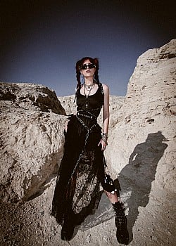 Indie Fox image 4 of 4