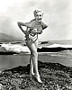 Jan Sterling image 3 of 4
