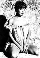 Janet Munro profile photo