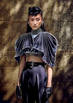 Jing Wen image 4 of 4