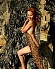 Jolie B image 3 of 4