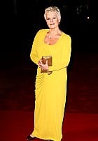 Judi Dench profile photo