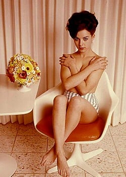 Judi Monterey image 3 of 3