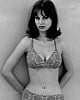 Lana Wood image 3 of 4