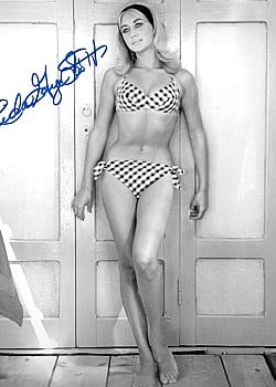 Linda Gaye Scott image 1 of 1