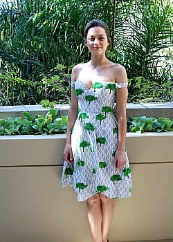 Marion Cotillard image 3 of 4