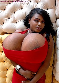Miosotis image 4 of 4