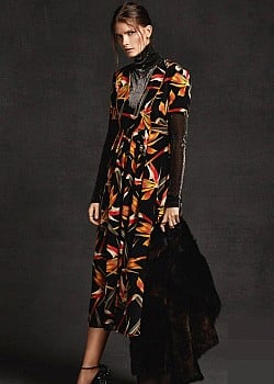 Nikola Romanova image 2 of 2