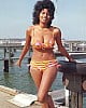 Pam Grier image 4 of 4