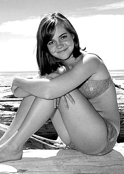 Sally Field image 2 of 4