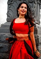 Sharkshe profile photo