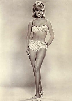 Shelley Fabares image 1 of 1